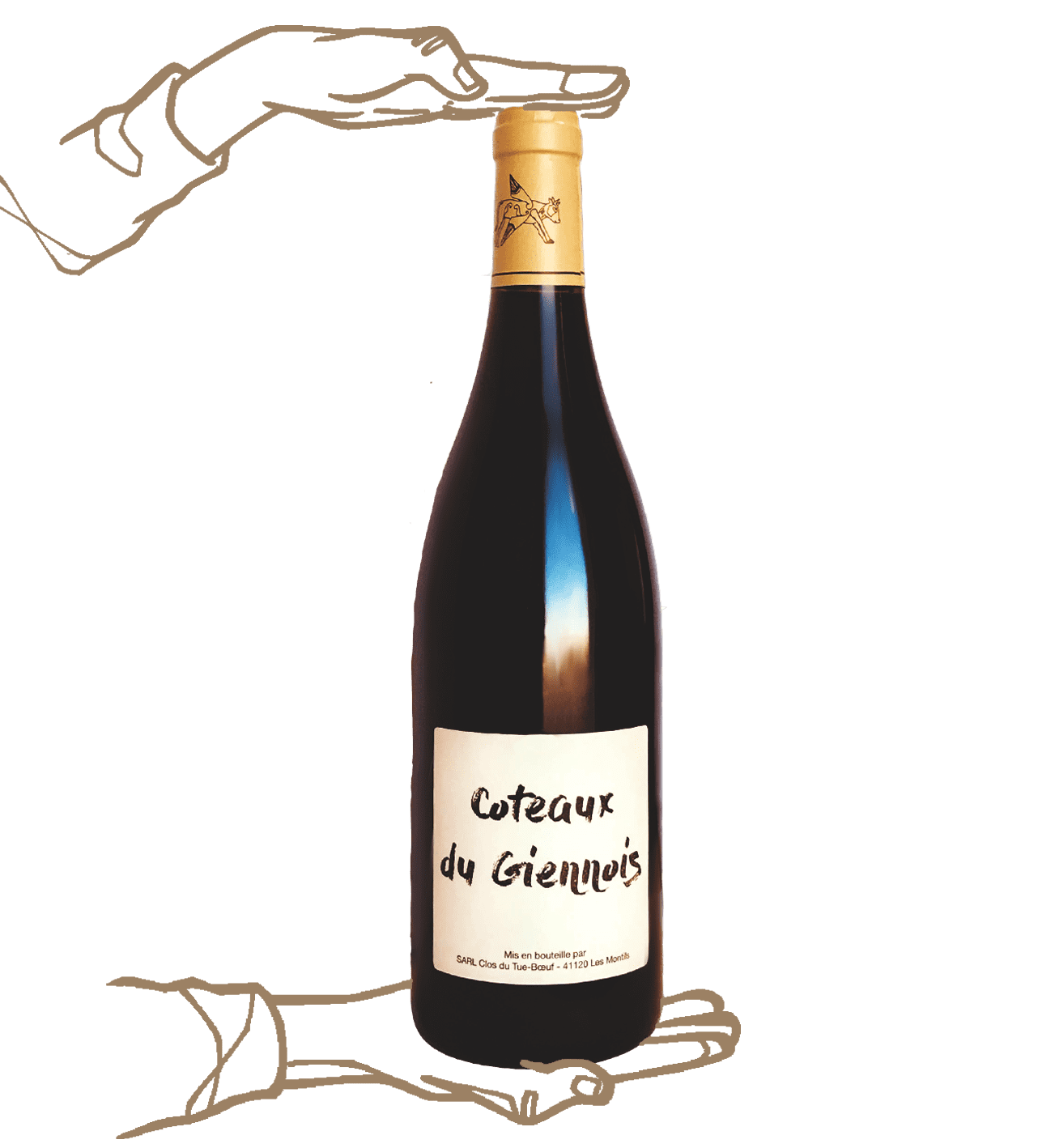 Coteaux de giennois du Clos du tue boeuf est un vin naturel de Loire