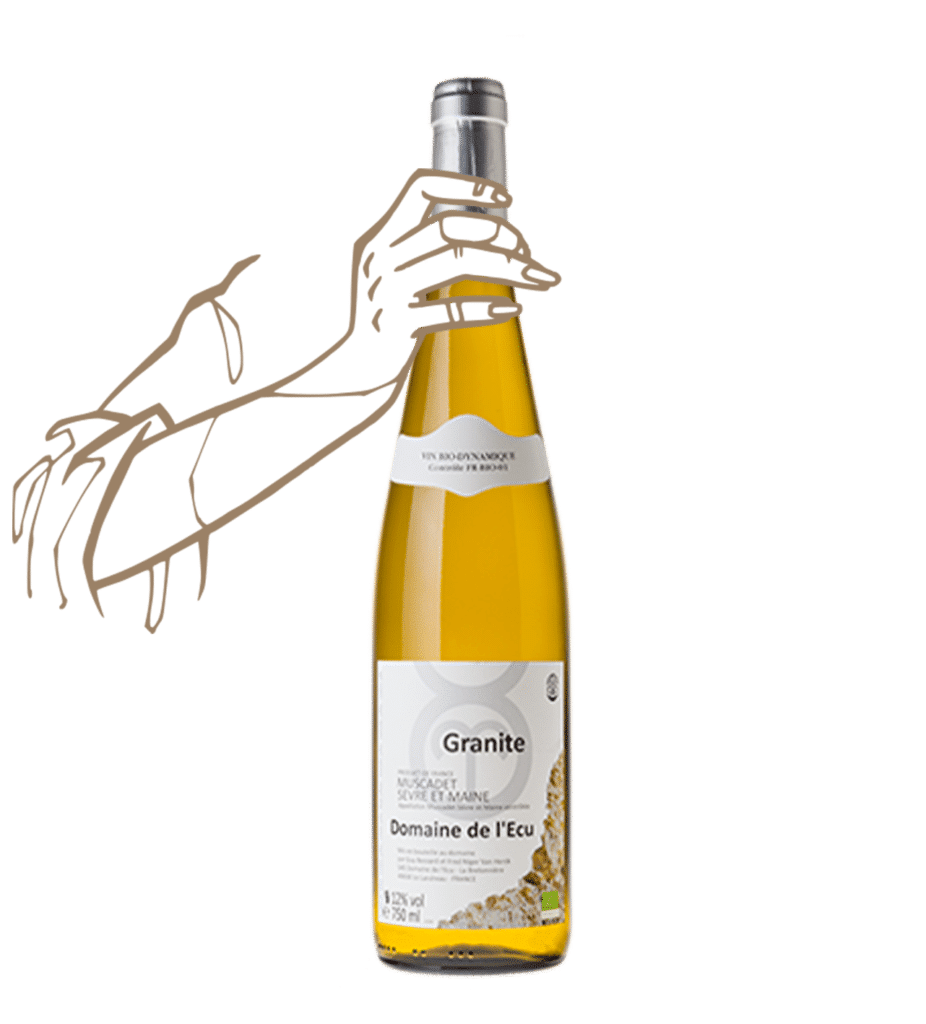 Granite by domaine de l'Ecu is a natural wine from muscadet