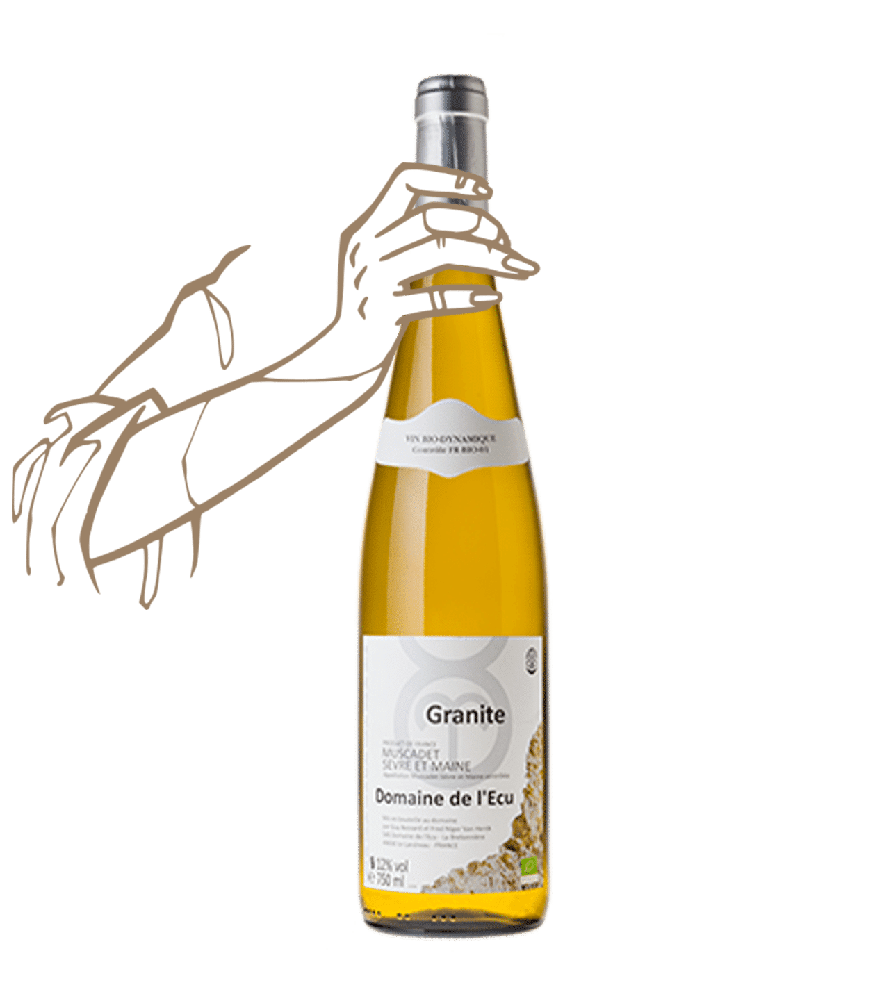 Granite du domaine de l'Ecu est un vin naturel du muscadet