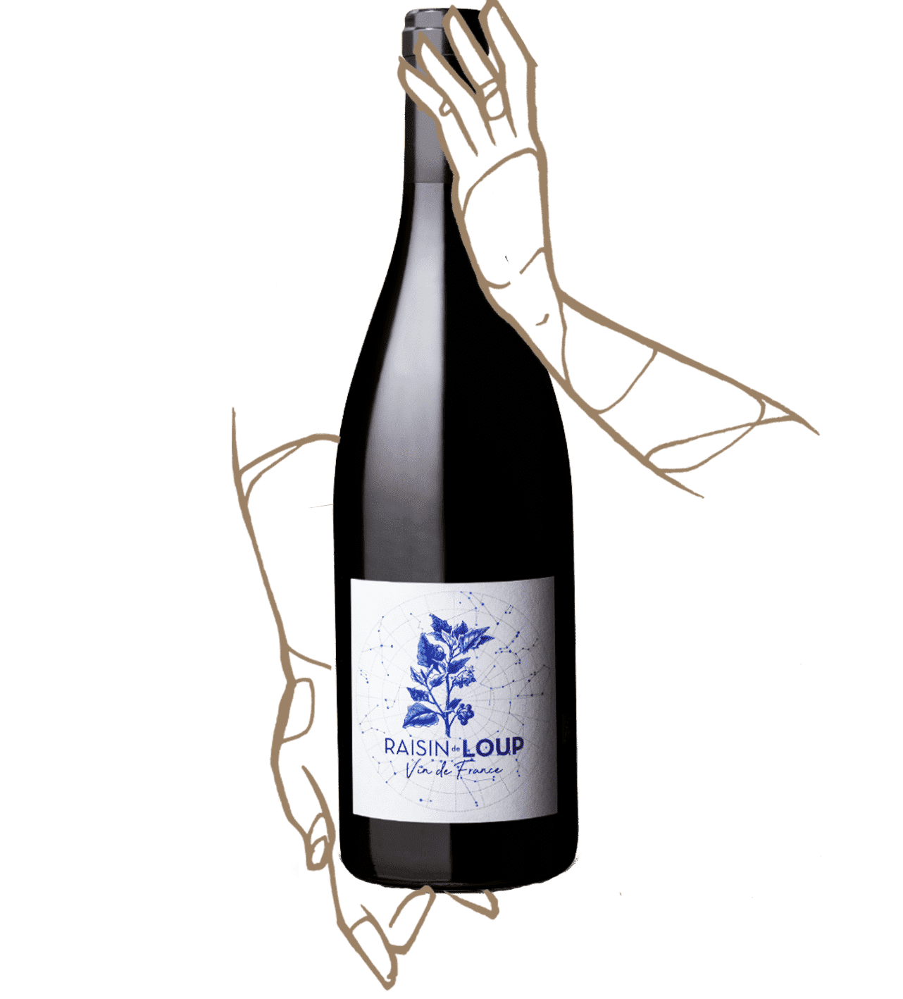 Raisin de loup est un vin rouge nature du domaine marcoux