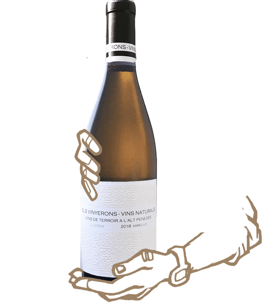 lluerna est un vin blanc naturel sans sulfite ajouté d'espagne signé els vinyerons