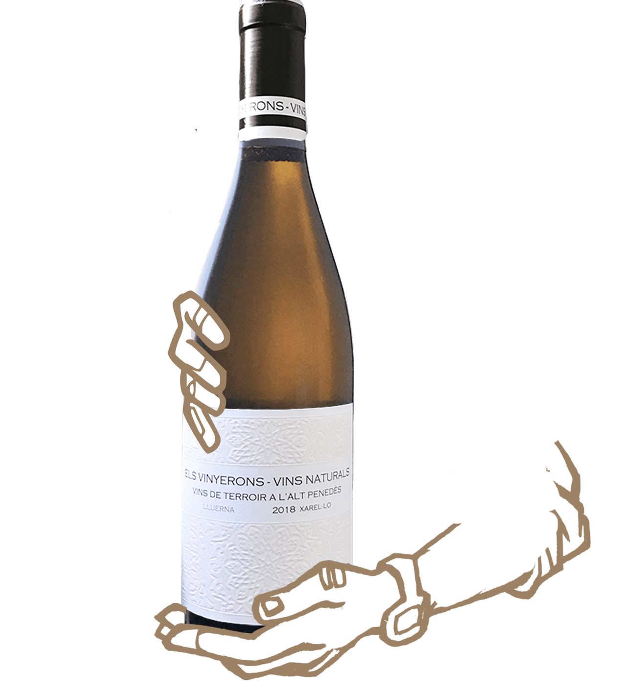 lluerna est un vin blanc naturel sans sulfite ajouté d'espagne signé els vinyerons