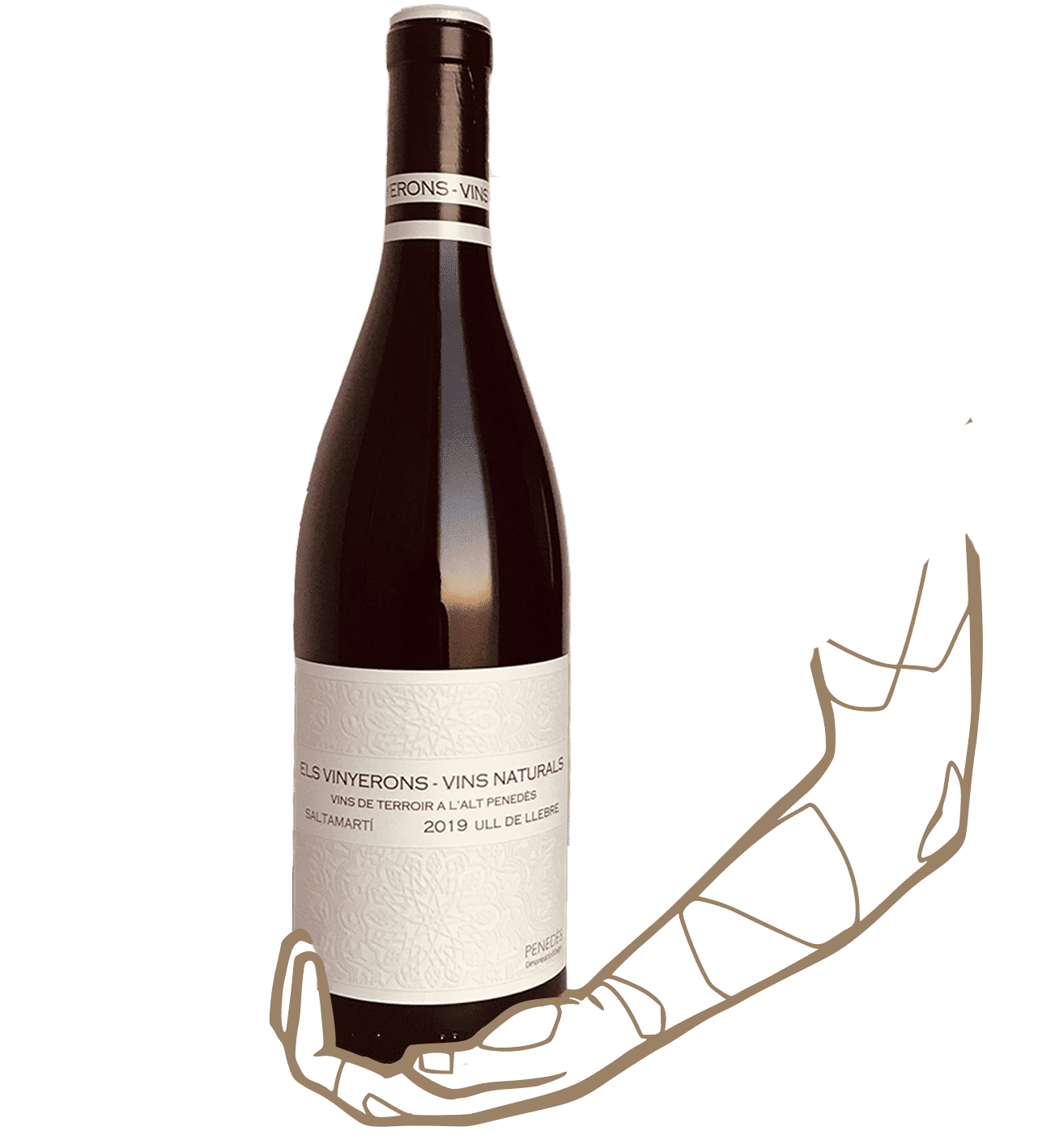 Saltamarti d'Els vinyerons est un vin naturel sans sulfite ajouté du penedès