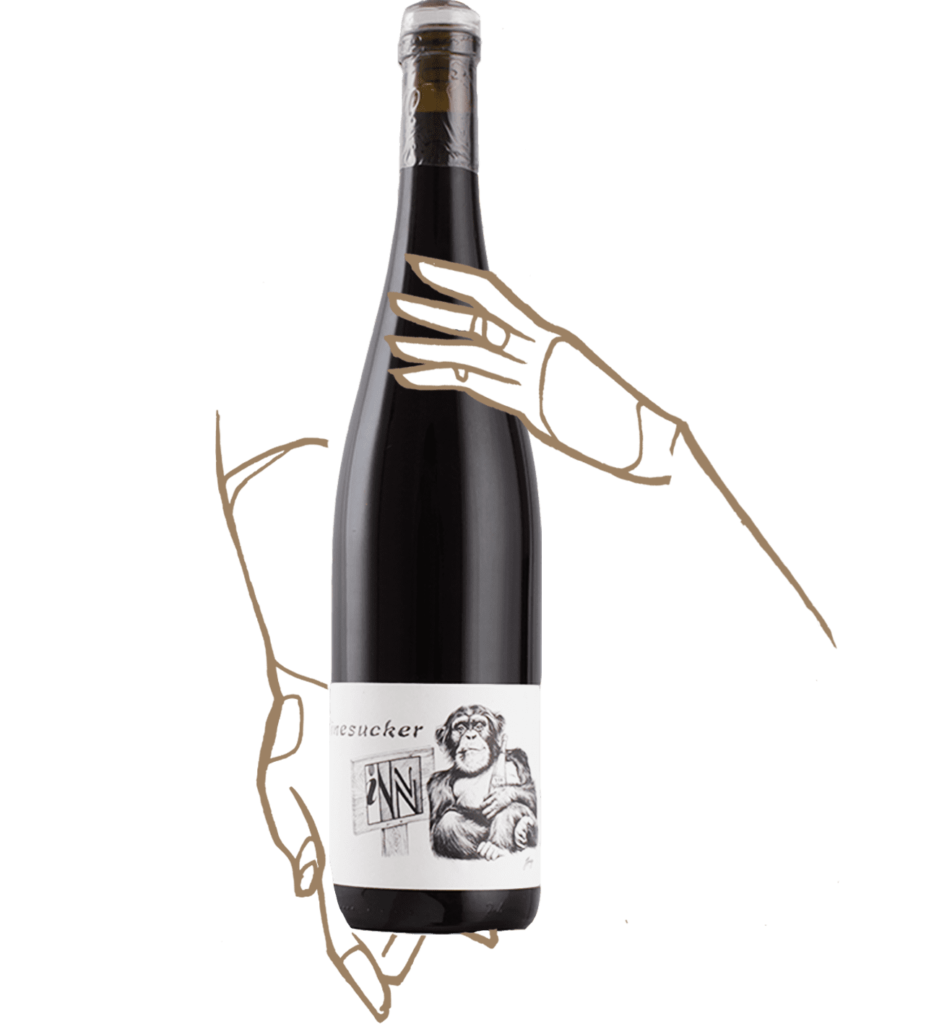 Un pinot noir signé winesucker et les vins pirouettes, vin naturel Alsace