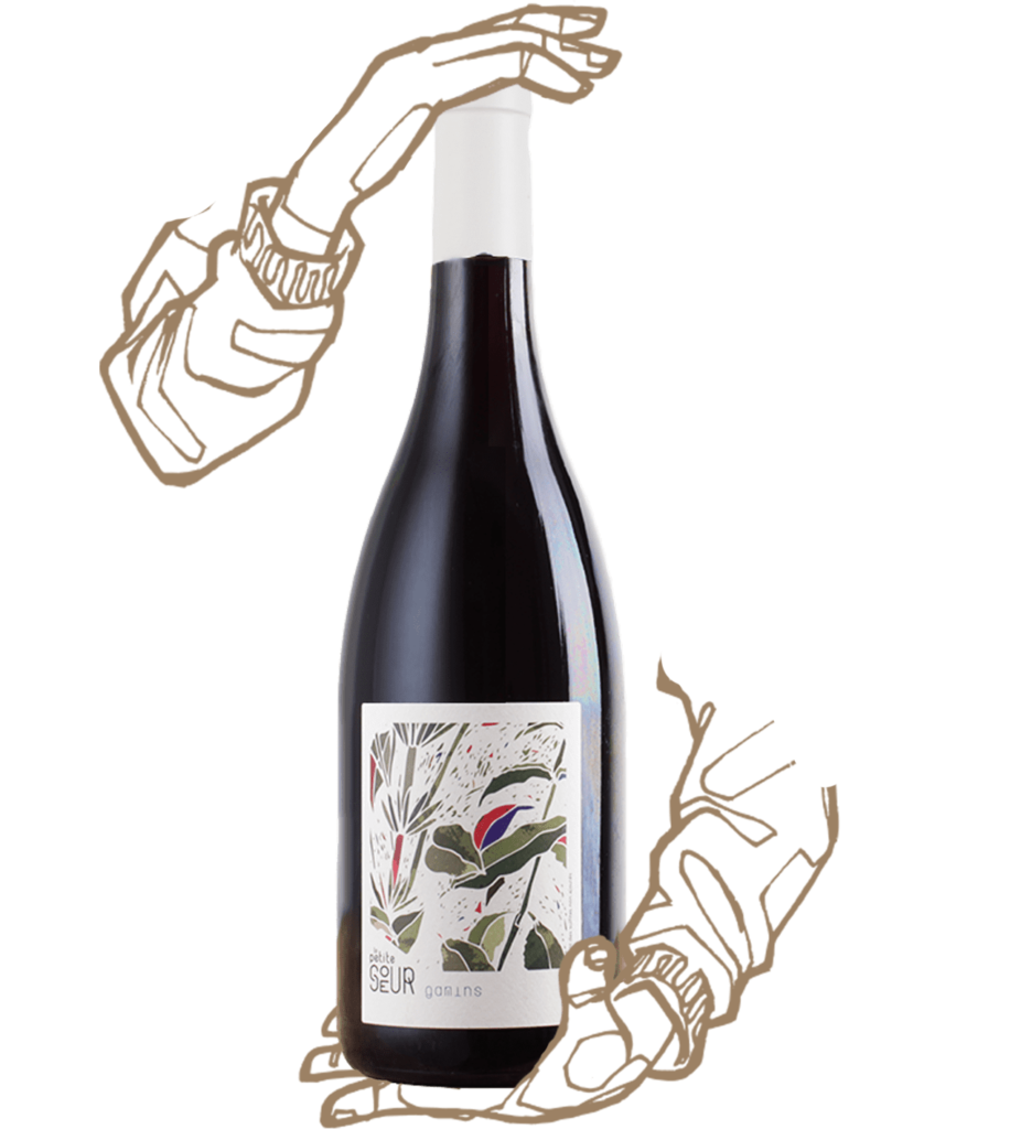 Les gamins est un vin naturel de loire du domaine de la petite soeur