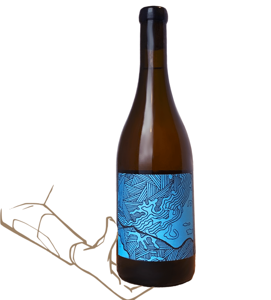 Greek connection est un vin orange du vin des potes et de jason ligas