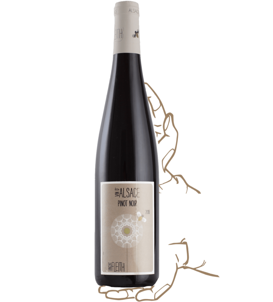 Pinot Noir by Vincent Fleith biodynamic red wine from d'Alsace