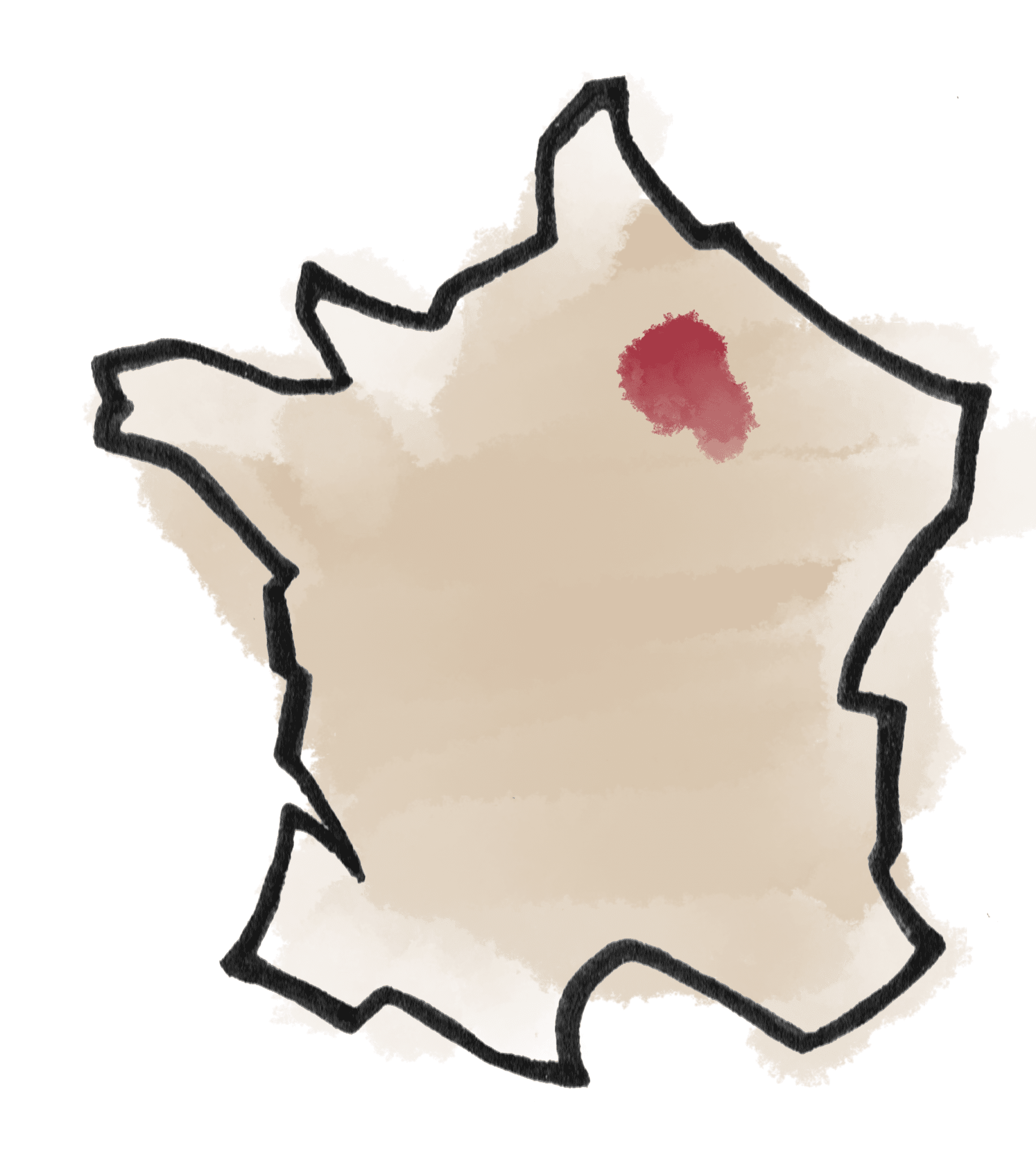 Champagne - Tous nos vins Naturels, Bio & Biodynamiques