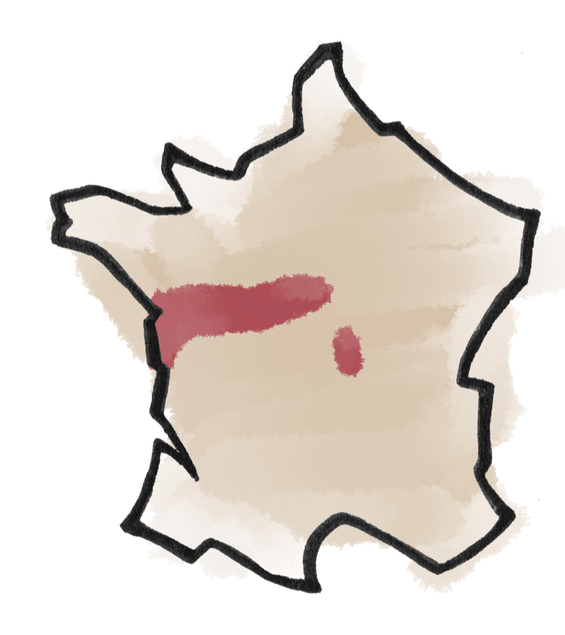 Loire - Tous nos vins Naturels, Bio & Biodynamiques