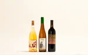 La différence entre vin conventionnel, bio, biodynamique & naturel