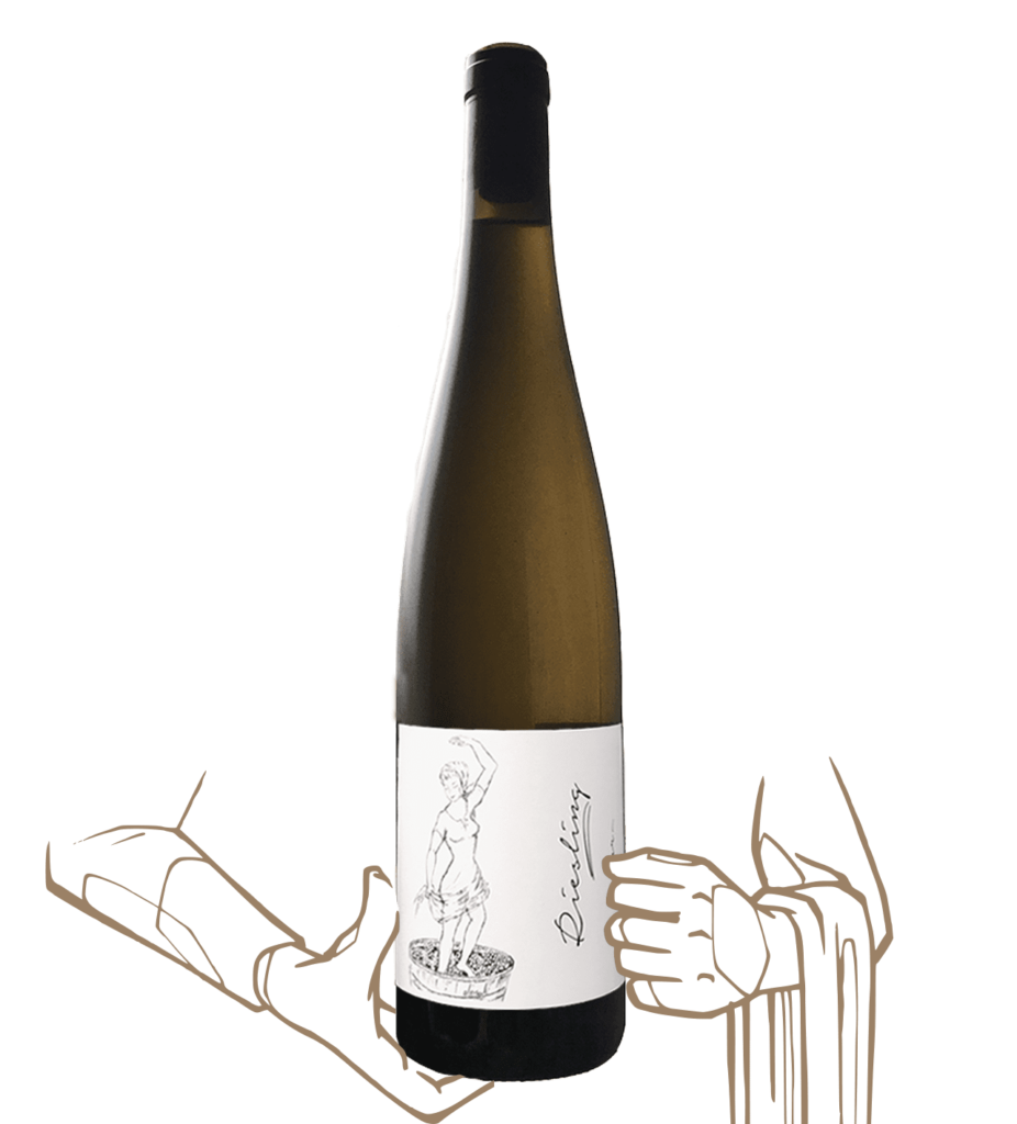 Riesling de Brand Bros, vin naturel d'Allemagne