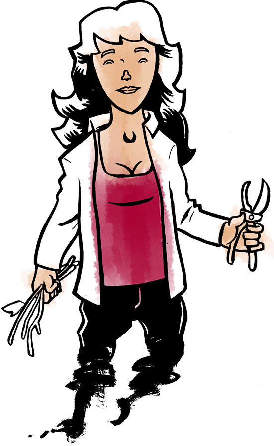 Illustration d'une vigneronne.
