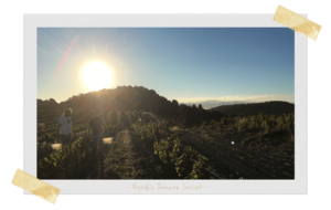 Vignoble Lise & Bertrand Jousset