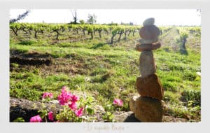 Vignoble Badea, vin naturel