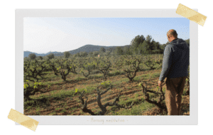 VIGNOBLE PARTIDA CREUS