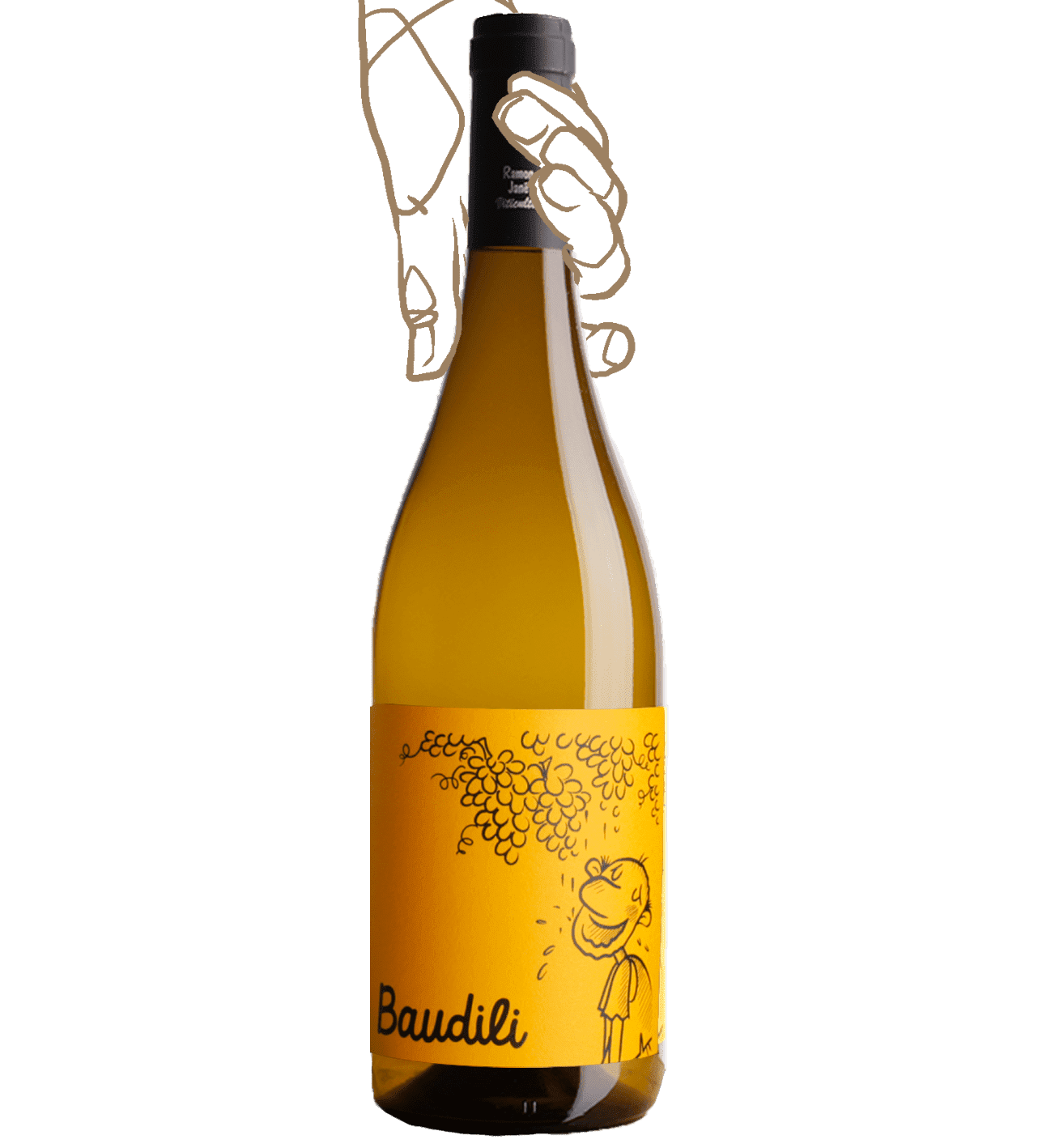 Baudili blanc est vin nature du Mas Candi