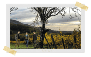 Domaine Labet