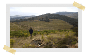 La Cave des Nomades