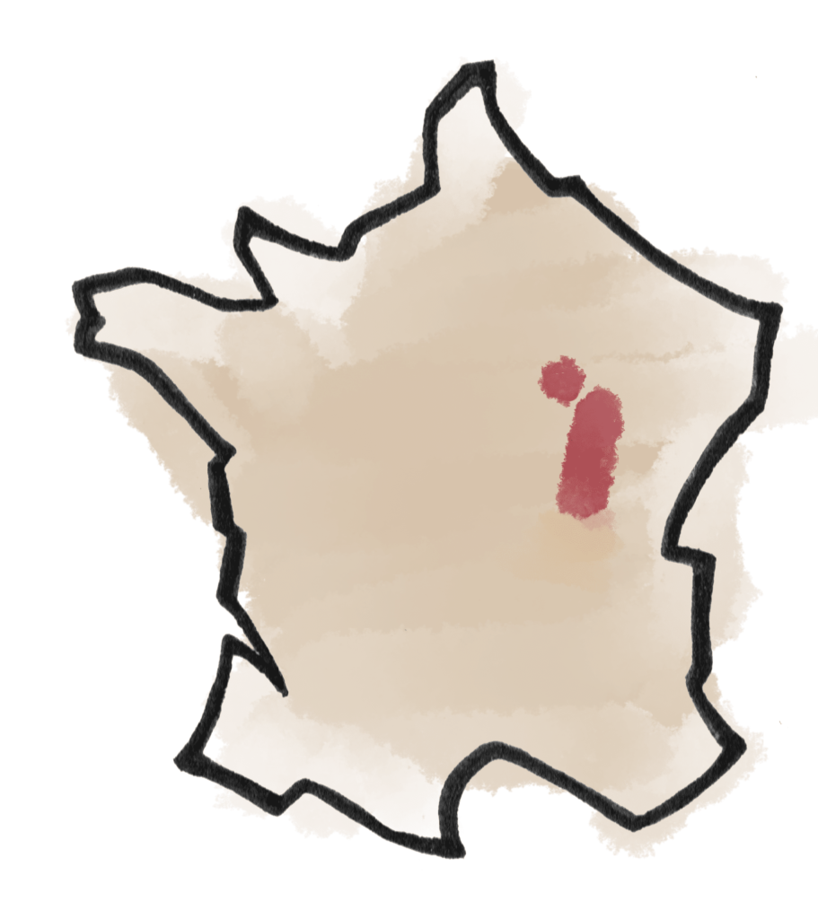 BOURGOGNE carte dessin vignoble