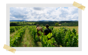 domaine julien merle lubrifiant social