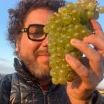 Remi Koval domaine sarradels