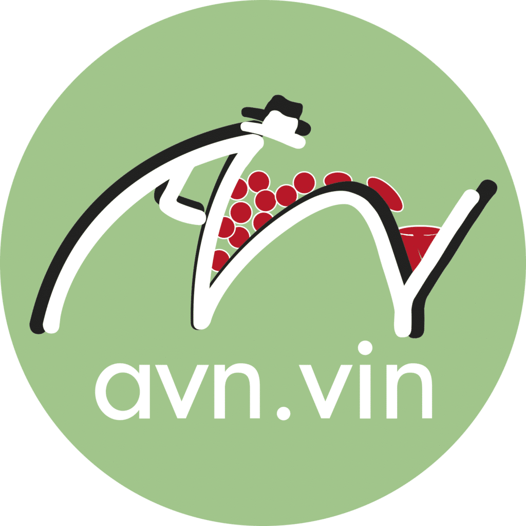 logo avn