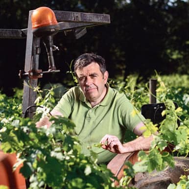 Jean christophe comor - Domaine des Terres Promises