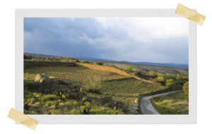 domaine clos du rouge gorge