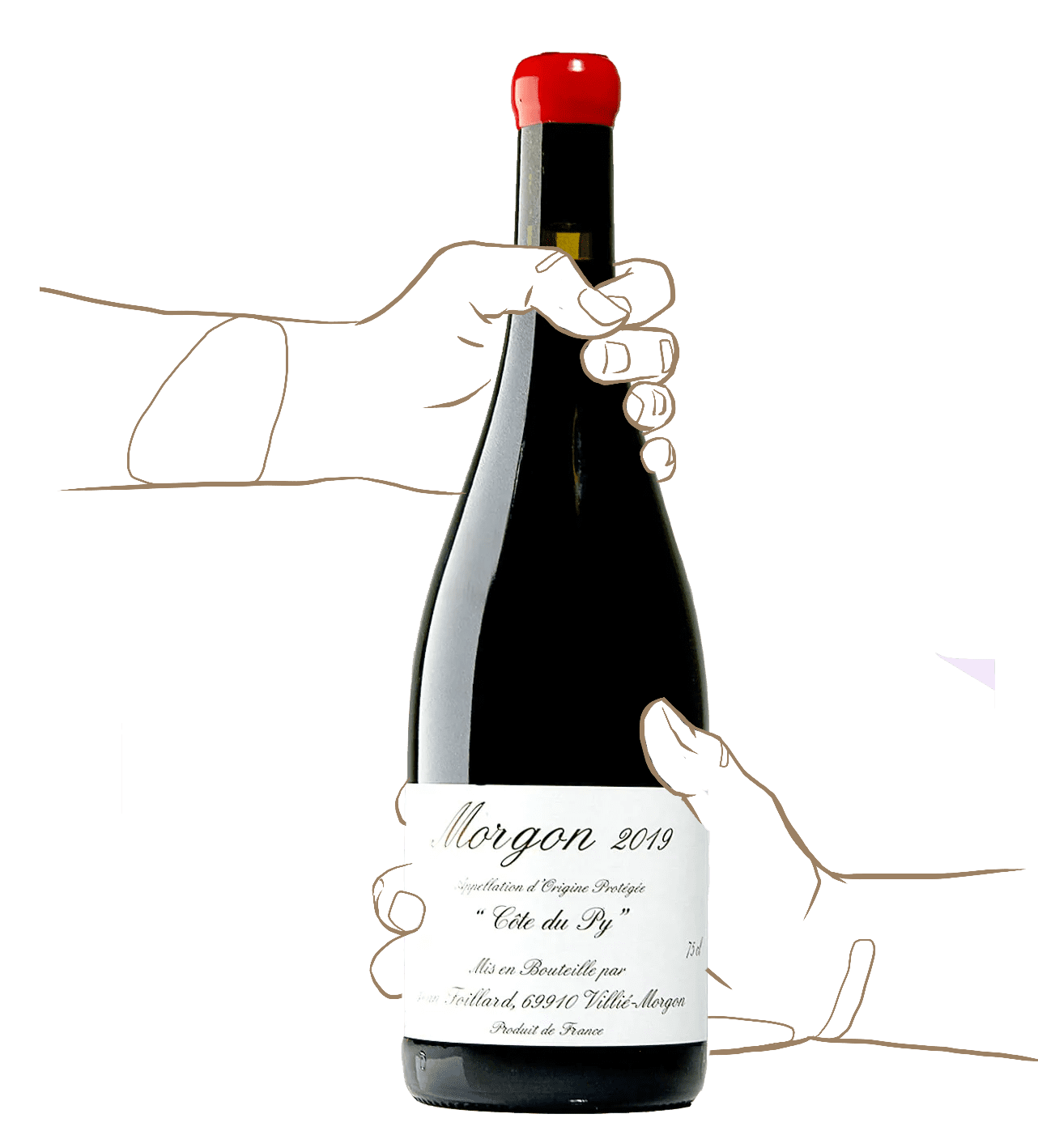 Jean Foillard - Côte du Py (Morgon) | Beaujolais Natural Wine |