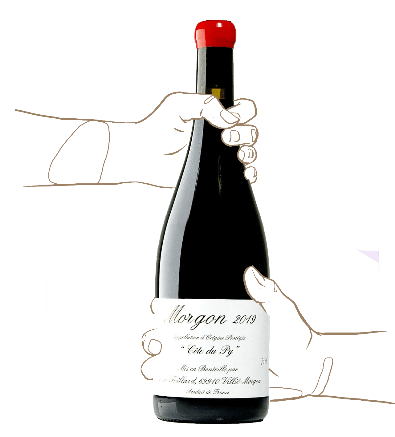 Morgon Cote de Py - Jean Foillard