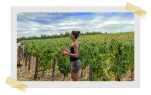 Domaine raphaelle Guyot