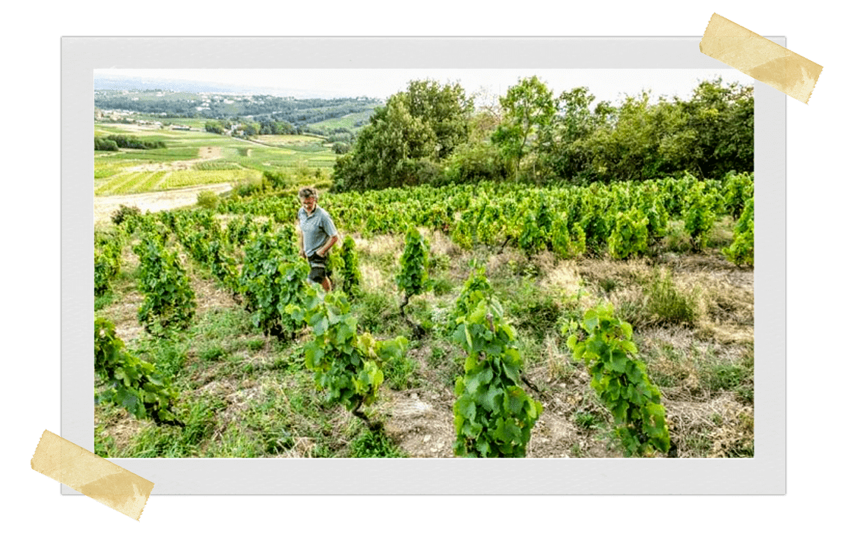 Domaine Philippe jambon vin