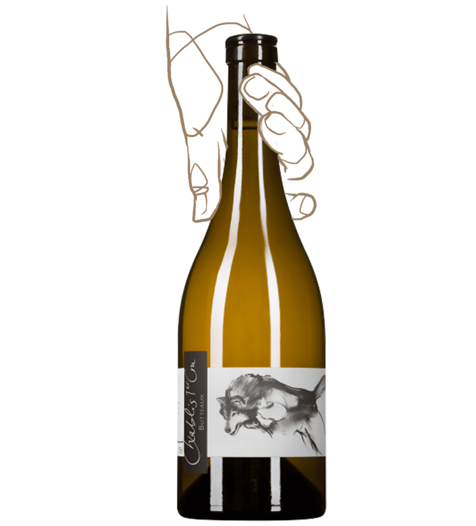 Thomas pico - domaine pattes loup - CHABLIS 1ER CRU BUTTEAUX