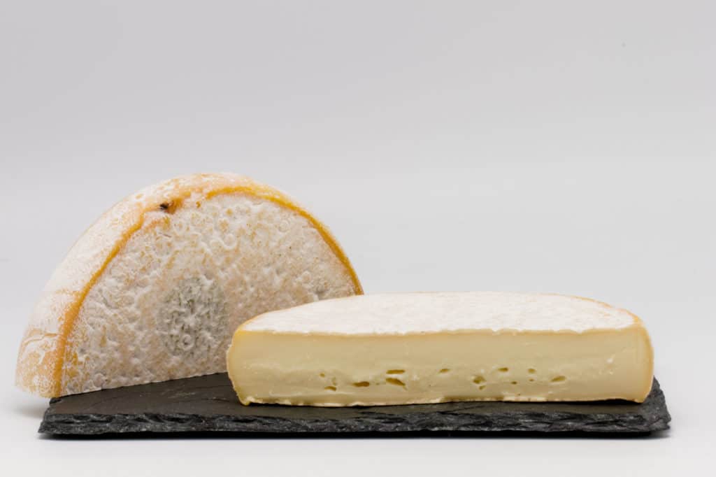Accord vin avec les fromages à pâte pressée non cuite :