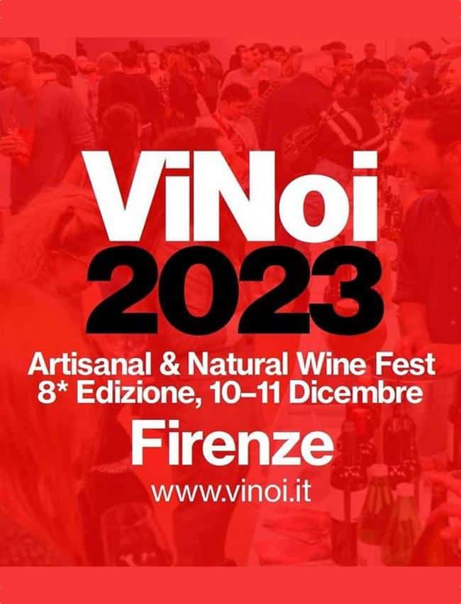 ViNoi 8^ Edizione