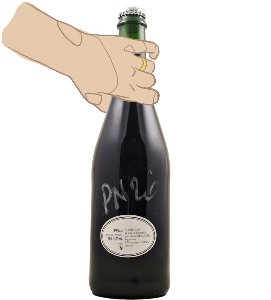 Pierre beauger - Pinot Noir 2018