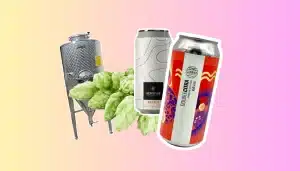 IPA