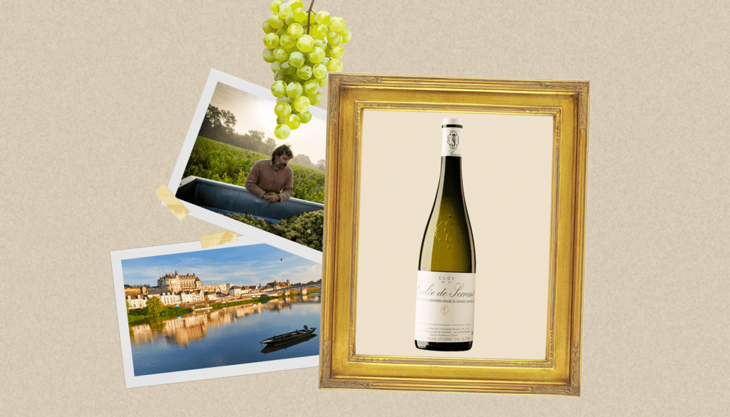 vin blanc loire